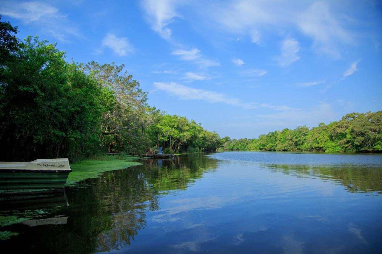 The Backwaters Lodge Wilpattu Bagian luar foto