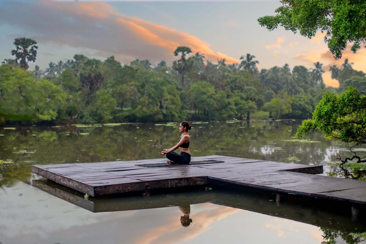 The Backwaters Lodge Wilpattu Bagian luar foto