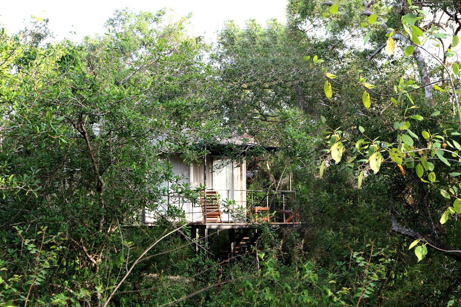 The Backwaters Lodge Wilpattu Bagian luar foto