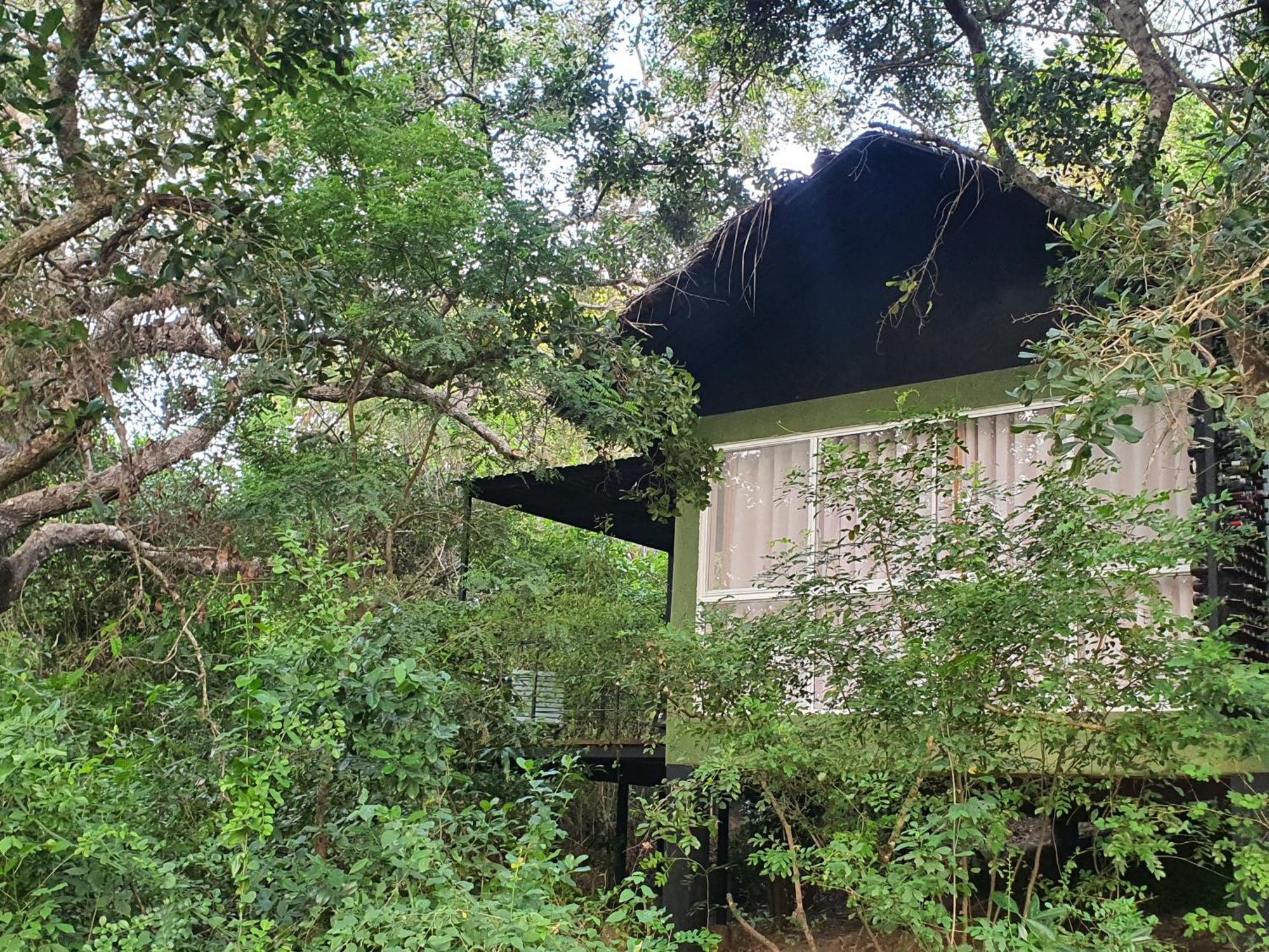 The Backwaters Lodge Wilpattu Bagian luar foto