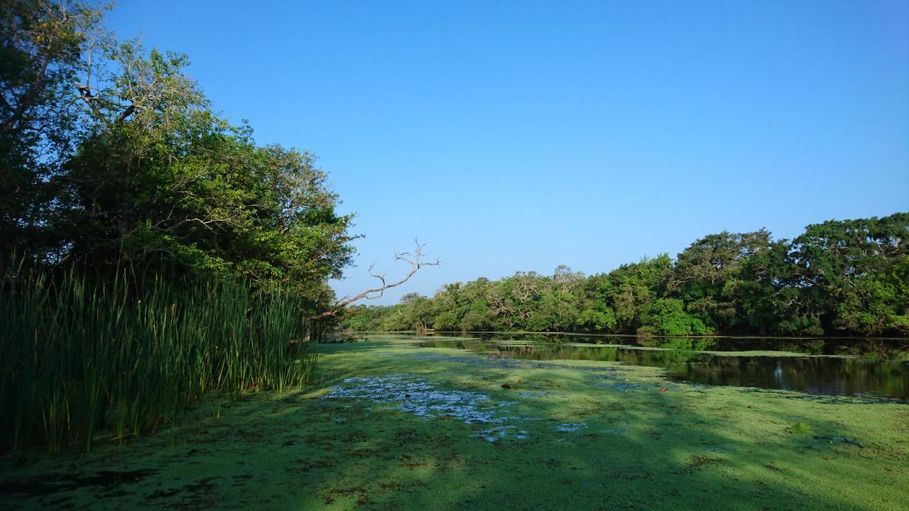 The Backwaters Lodge Wilpattu Bagian luar foto