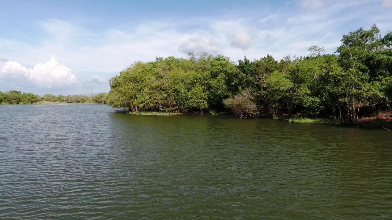 The Backwaters Lodge Wilpattu Bagian luar foto