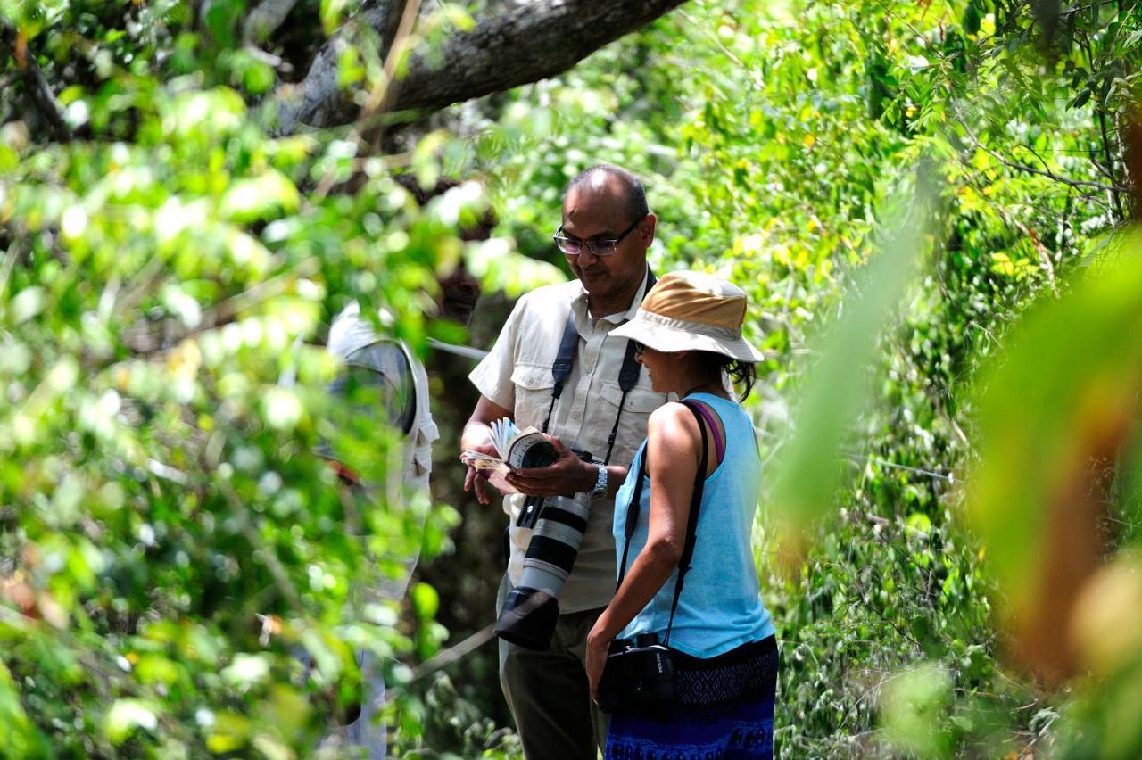 The Backwaters Lodge Wilpattu Bagian luar foto