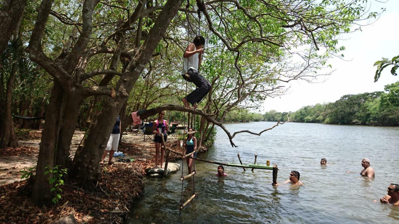 The Backwaters Lodge Wilpattu Bagian luar foto